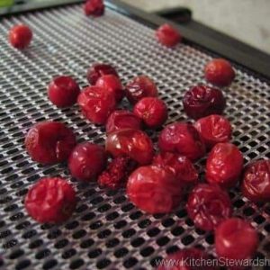 Arándanos deshidratados